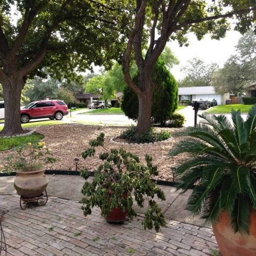 Rev. Consuelo Landscaping gallery image 4
